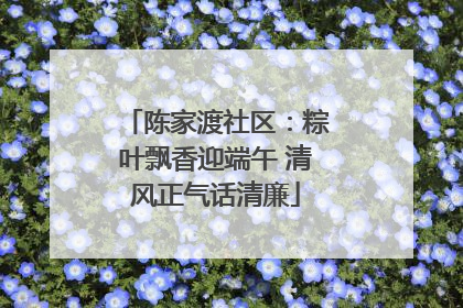 陈家渡社区：粽叶飘香迎端午 清风正气话清廉